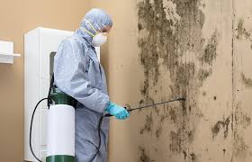 Reliable Granville, IL Mold Inspection Solutions